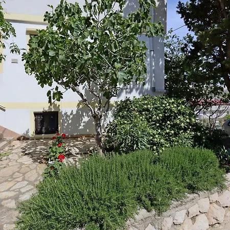 Apartment With A Parking Space Pag - 18325
